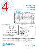 5TTP600-R Datasheet HTML 4Page - Bel Fuse Inc. 