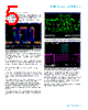 TDP1500 Datasheet HTML 5Page - TEKTRONIX, INC. 