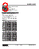 W2XT-4V3V2-R Datasheet HTML 3Page - M-System Co.,Ltd. 