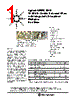 AMMC-3040-W10 Datasheet HTML 1Page - Agilent(Hewlett-Packard) 