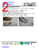 OSW4X3E1E1E Datasheet HTML 2Page - OptoSupply International 