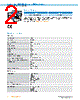 IRS100-R53OF31 Datasheet HTML 2Page - SICK AG 